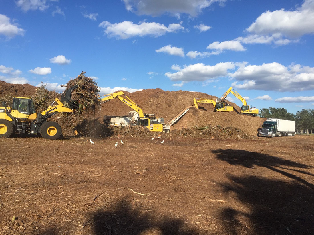 Land Clearing Services Inc South Carolina