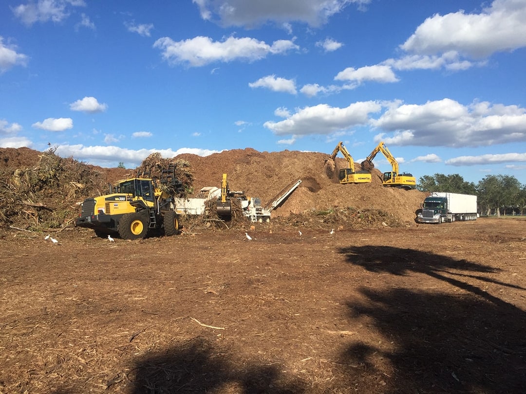 Land Clearing Services Inc South Carolina
