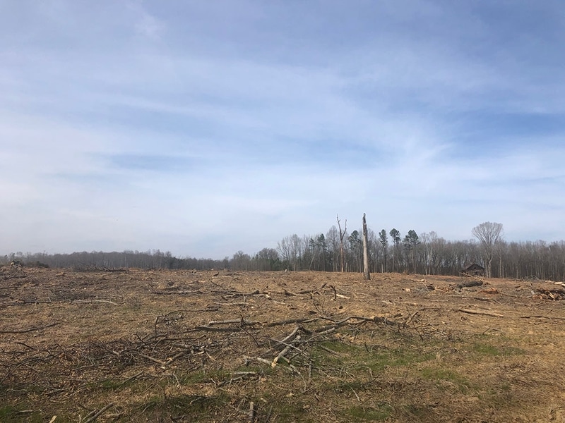 Land Clearing Services Inc South Carolina