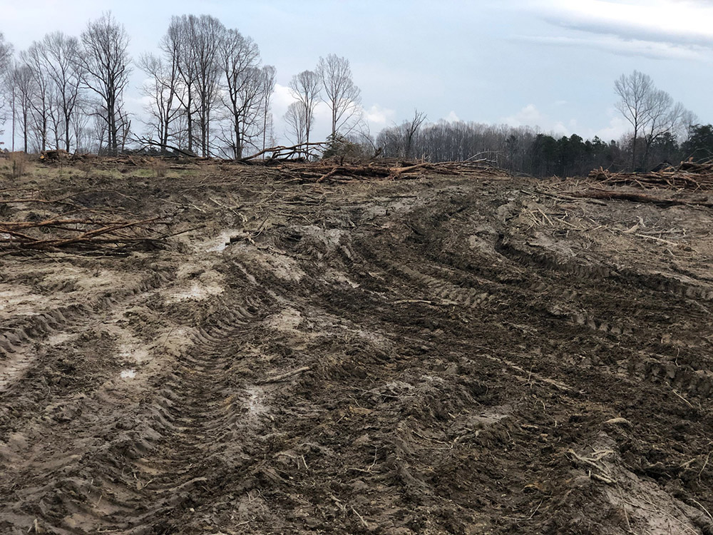 Land Clearing Services Inc South Carolina