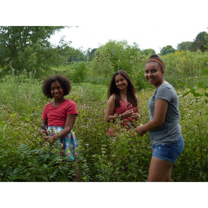 Plants Count STEM Clearinghouse