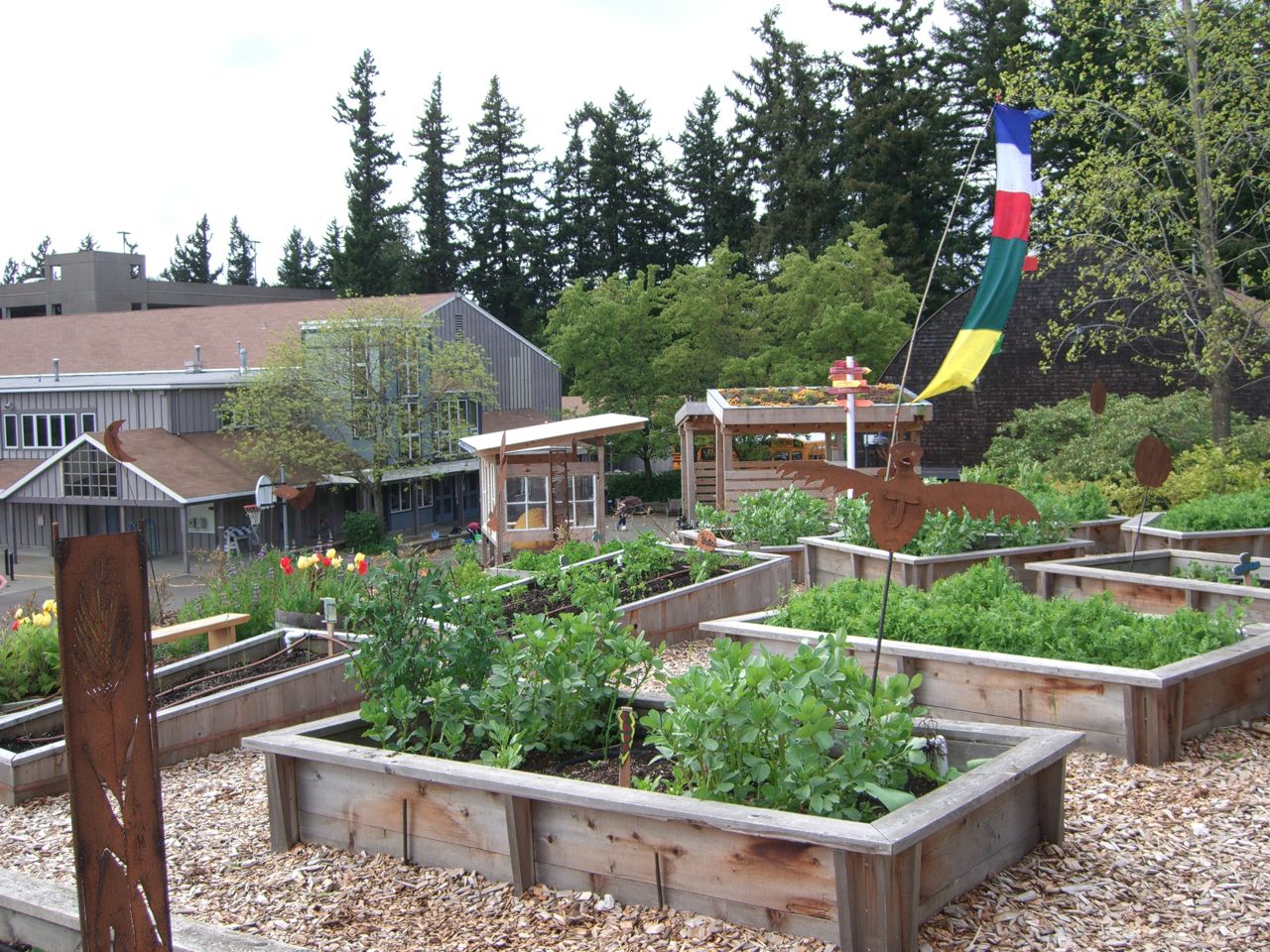Why Garden in School (Part 3) CLEARING PNW Journal of Environmental