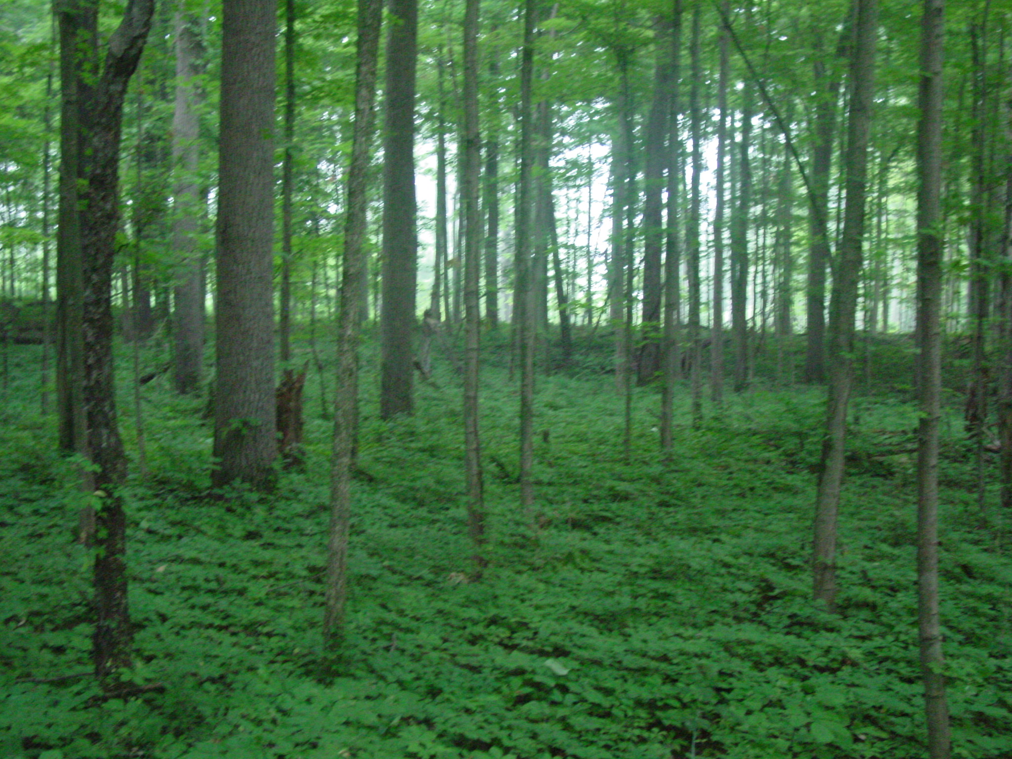 More Protected Land! News & Events The Clear Lake Township Land