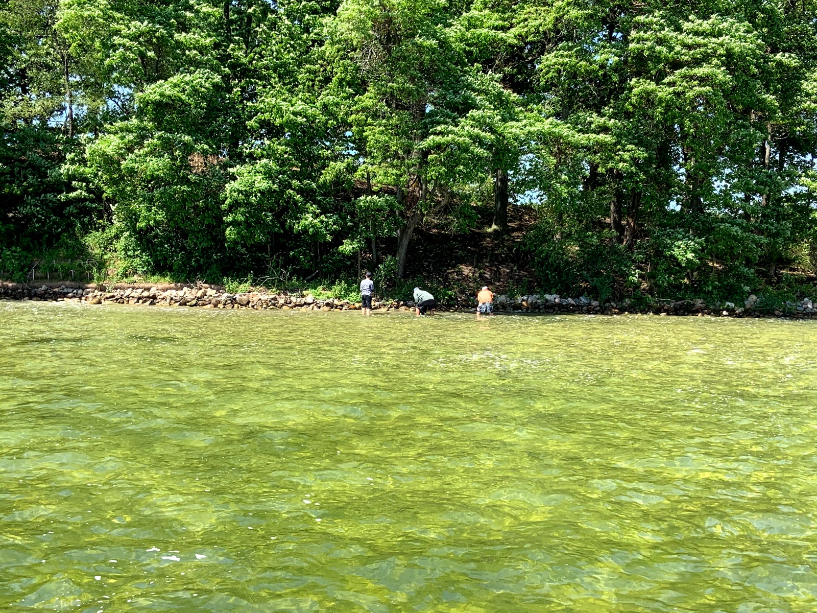 Kasota Island Restoration Project Updates News & Events The Clear