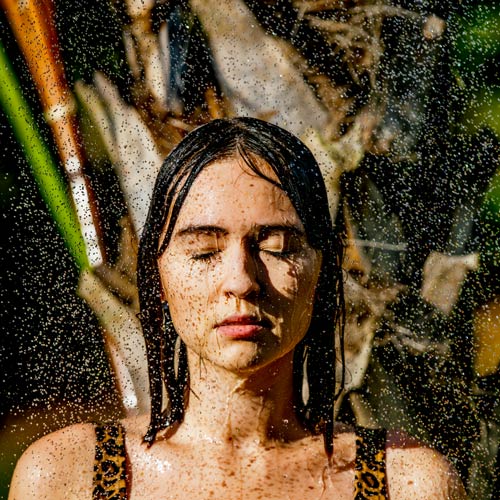 Extra Large Shower Head (25 Units) Clear Shower XL Showerhead