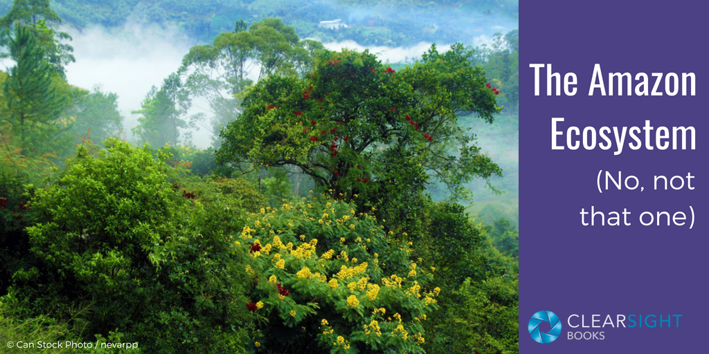 amazon ecosystem Clear Sight Books