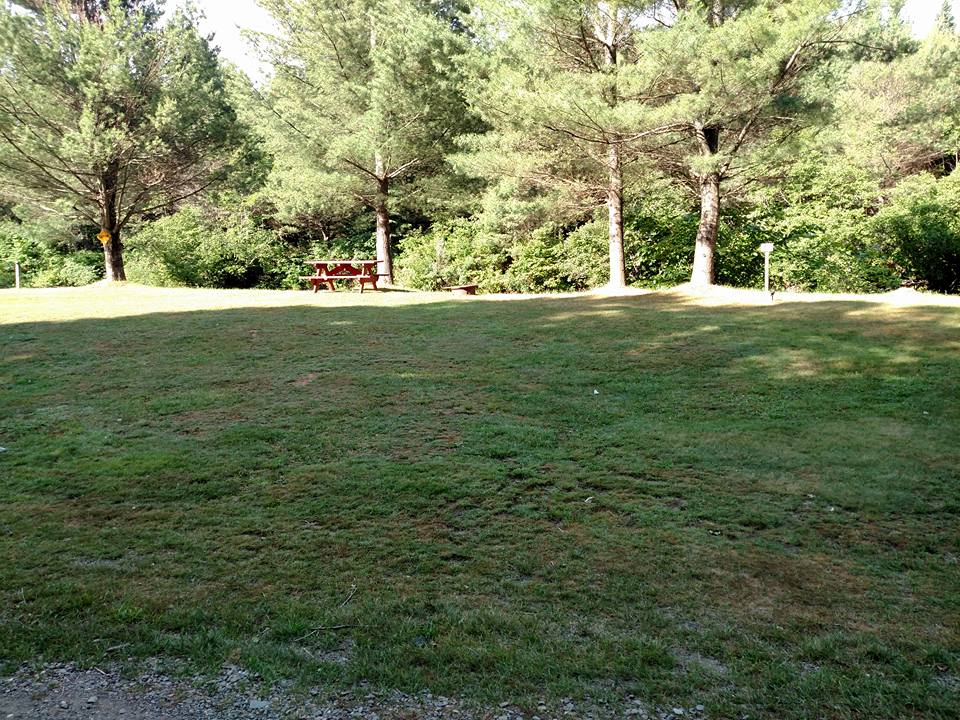 Campsite 11 w/ Water & 30AMP Electric Clear Stream Campground