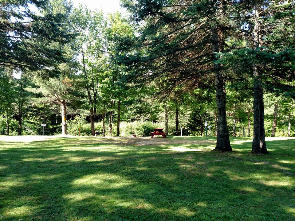 Campsite 13 w/ Water & 30AMP Electric Clear Stream Campground