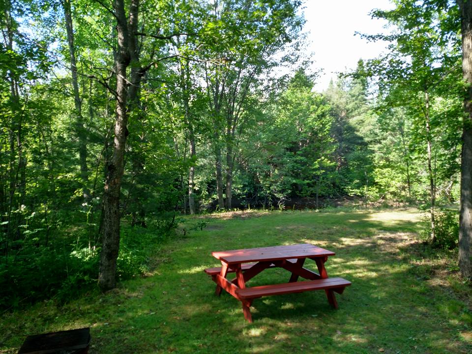 Campsite 19 w/ Water (20AMP Electricity available upon request