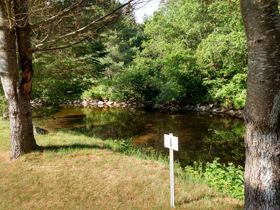 Campsite 1 w/ Water & 30AMP Electric Clear Stream Campground