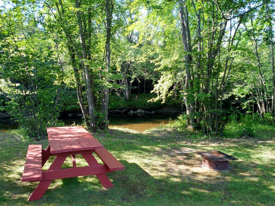 Campsite 20 w/ Water (30AMP Electricity available upon request