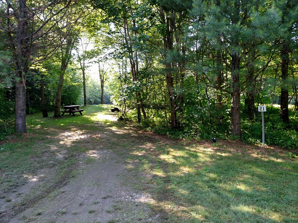 TENT Site 21 w/ Water (20 AMP Power available upon request) Clear