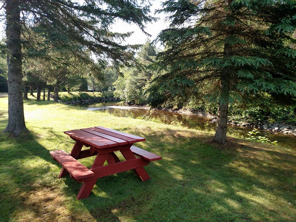 TENT Site 3 (This site is not available as it is left open for a turn