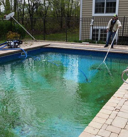 Pool Opening Services Clear Swim Pools LLC