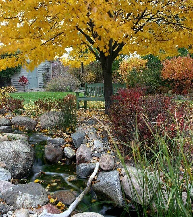 5 Fall Pond Maintenance Tips Clearwater Creations