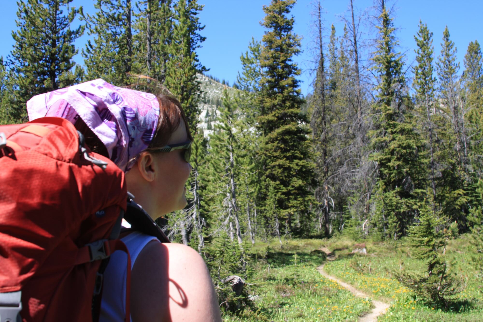 Geeking Out on Backpacks Clearwater Trekking
