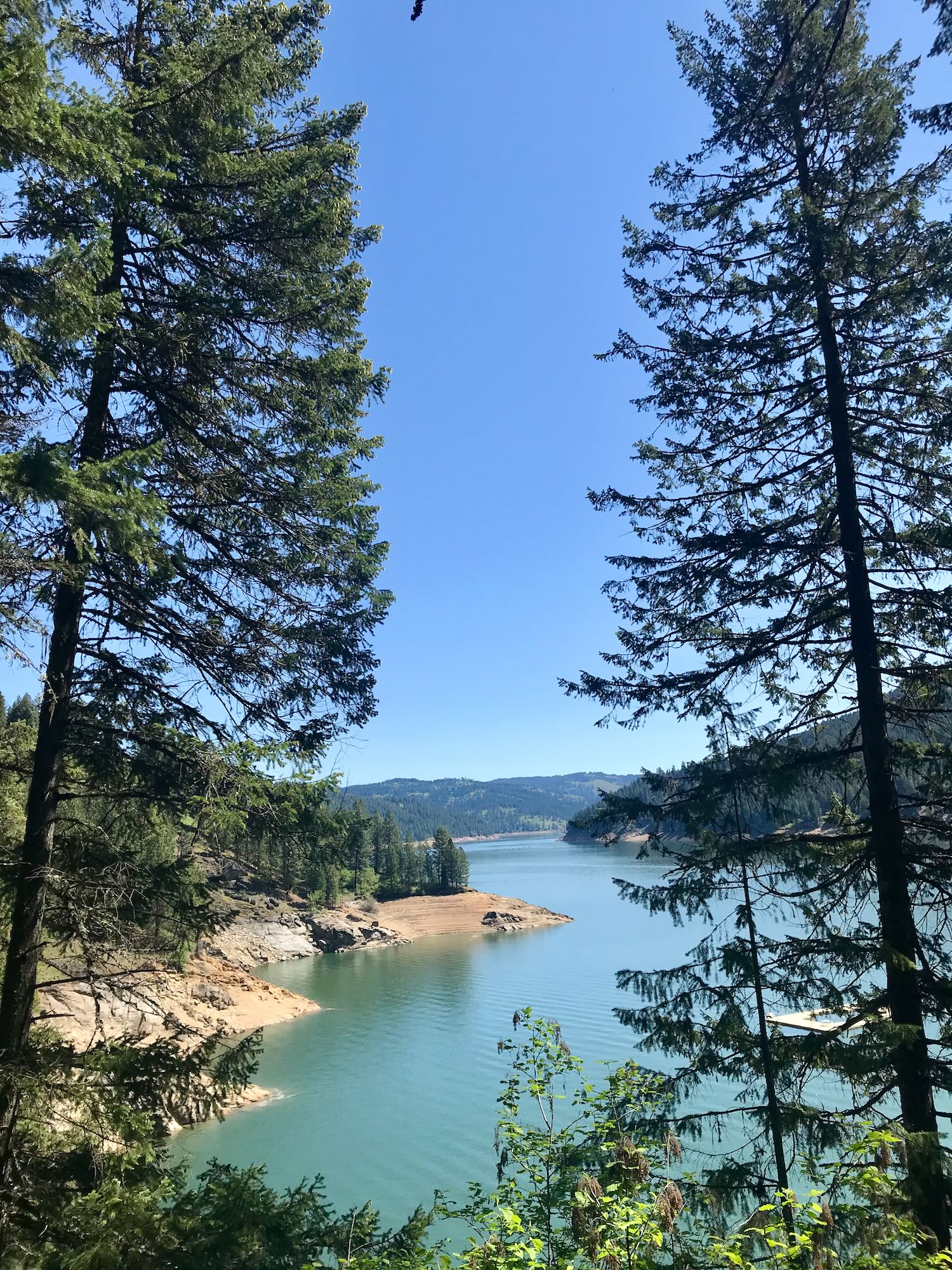 Escaping on the Big Eddy Trail Clearwater Trekking