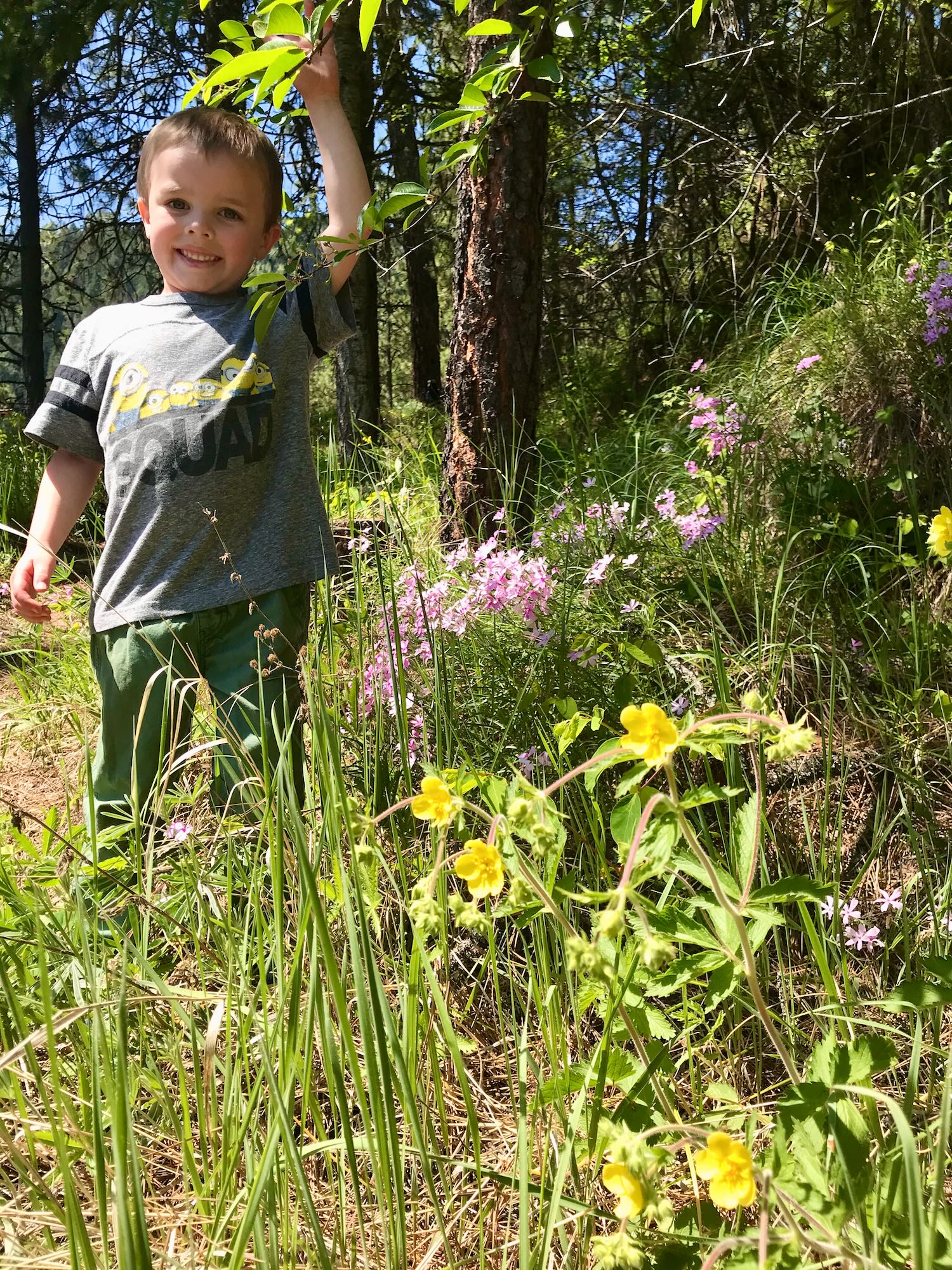 Escaping on the Big Eddy Trail Clearwater Trekking