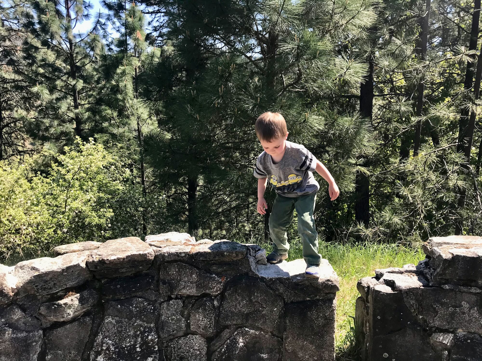 Escaping on the Big Eddy Trail Clearwater Trekking