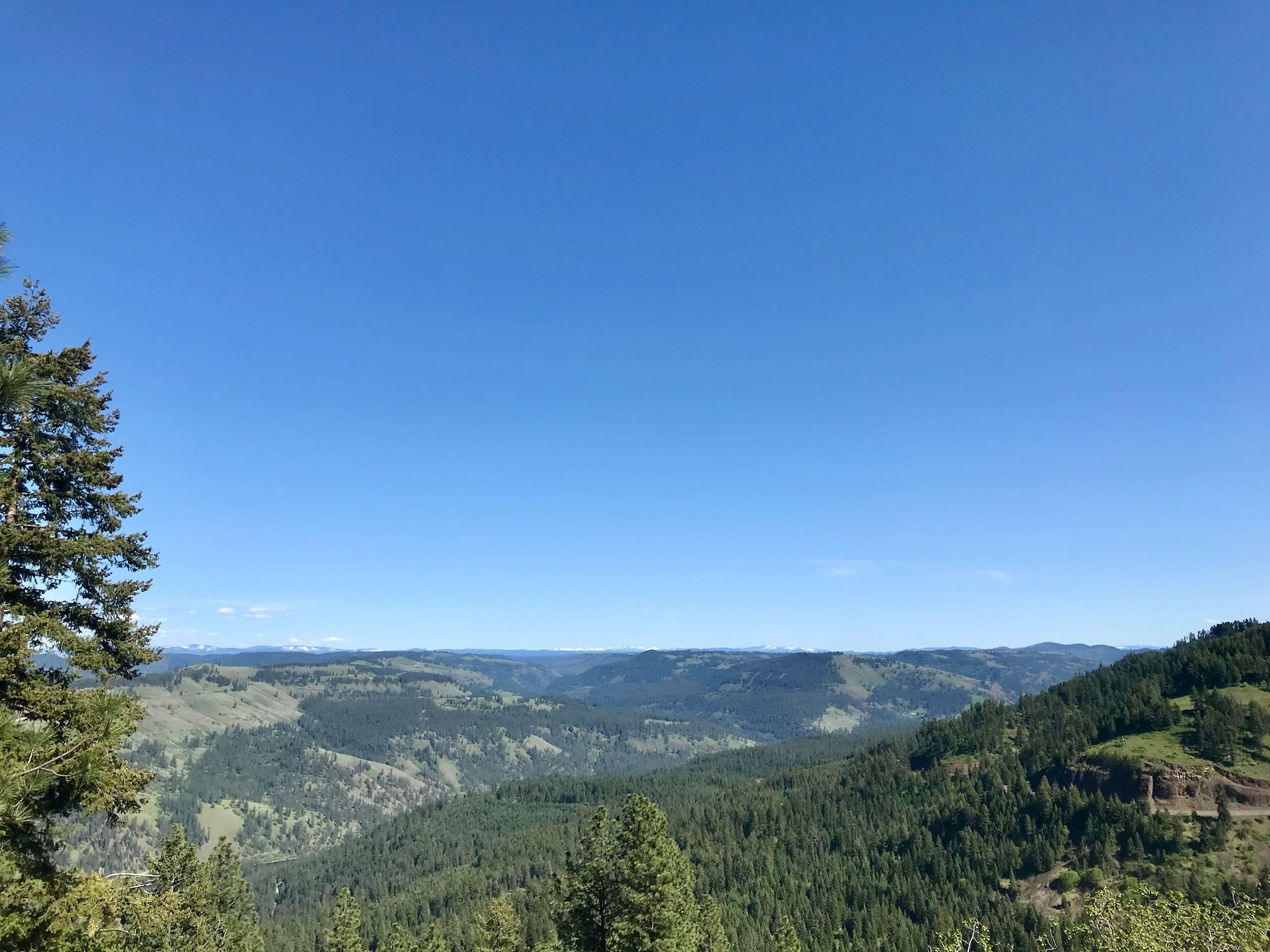 Escaping on the Big Eddy Trail Clearwater Trekking