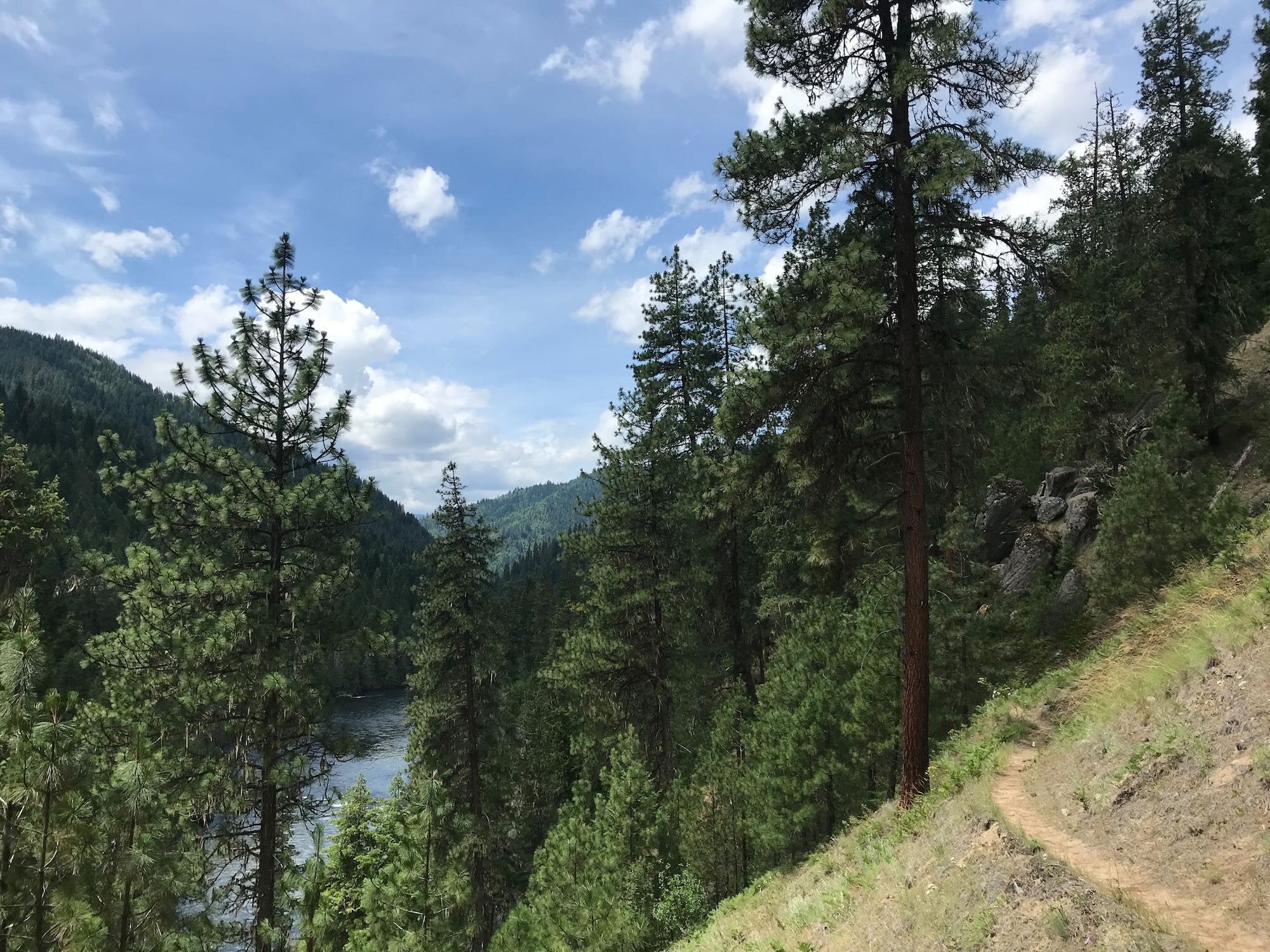 3 Days on the Selway River Trail Clearwater Trekking