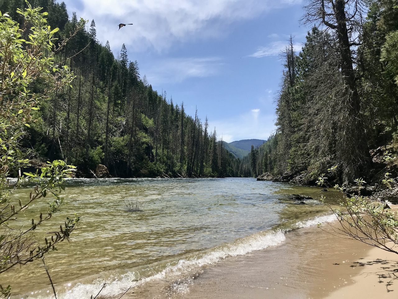 Adventures on and Beyond the Selway River Trail Clearwater Trekker