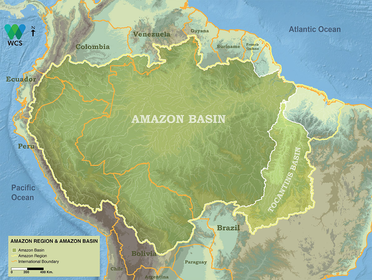 Where Is The Amazon Rainforest Located? Map