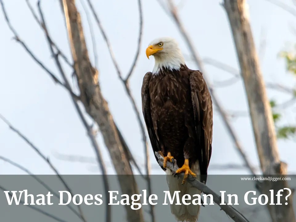 What Does Eagle Mean In Golf cleek & JIGGER