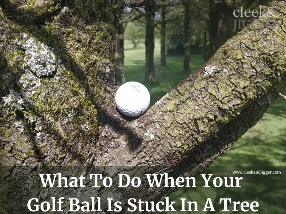 What To Do When Your Golf Ball Is Stuck In A Tree cleek & JIGGER