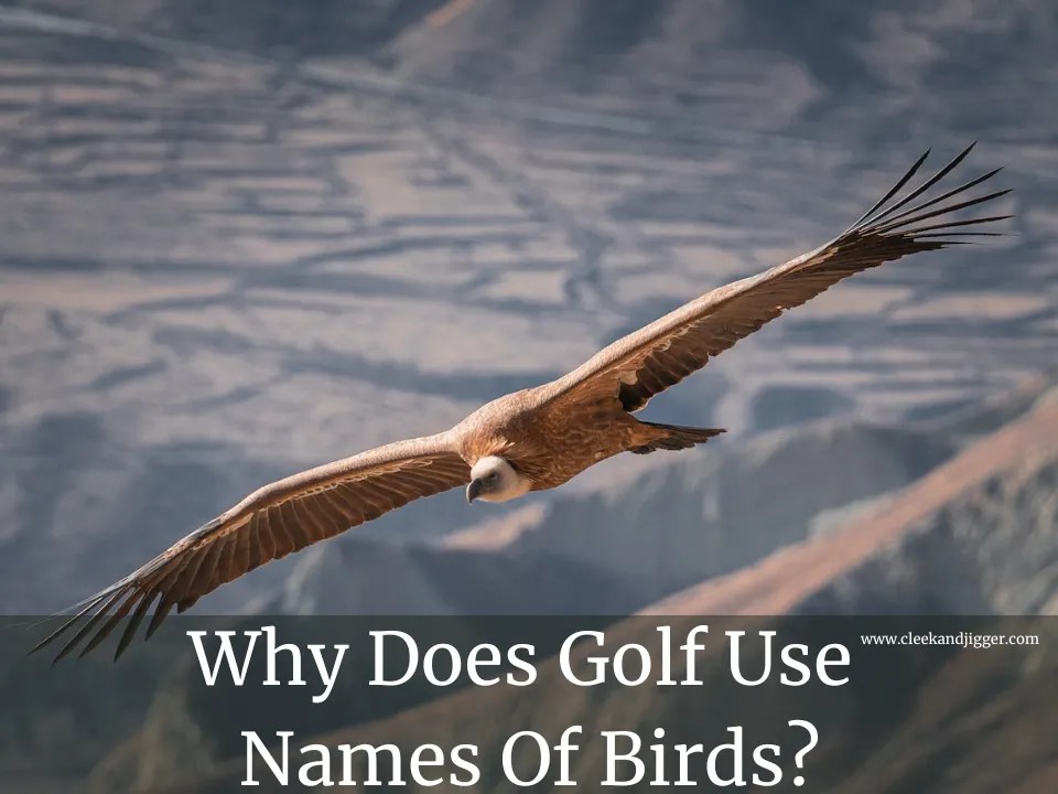 Why Does Golf Use Names Of Birds cleek & JIGGER