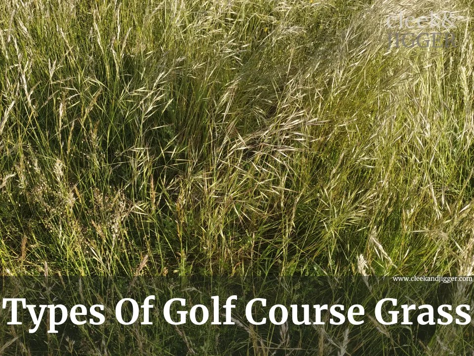 Types Of Golf Course Grass cleek & JIGGER