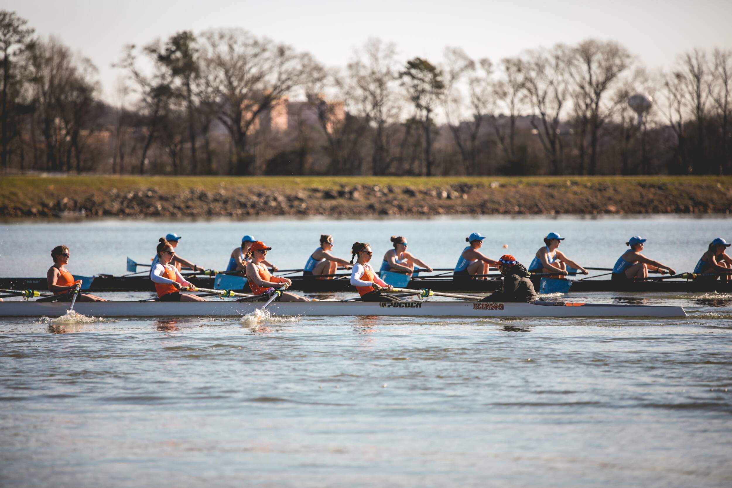 Clemson Tigers Clemson University Athletics Rowing