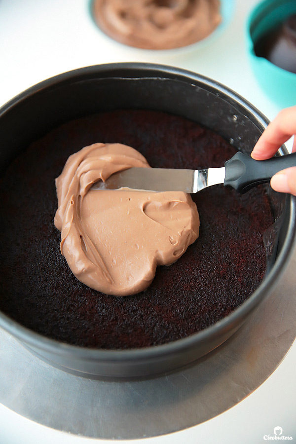 Epic 12 Layer Chocolate Cake Cleobuttera