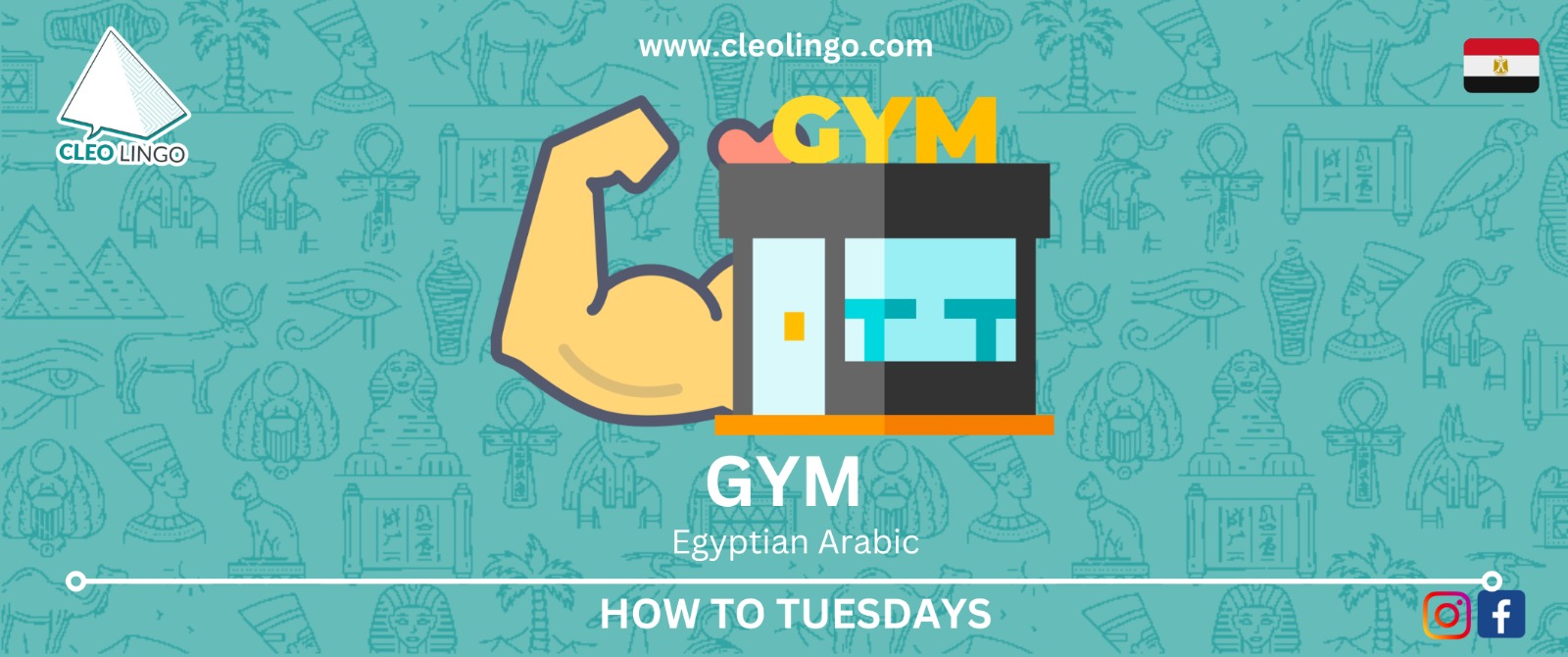 How To Go To The Gym In Egyptian Arabic Cleo Lingo