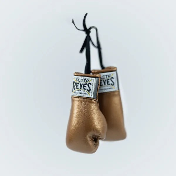 Cleto Reyes Miniheavy Bag & Minigloves Kit Cleto Reyes USA