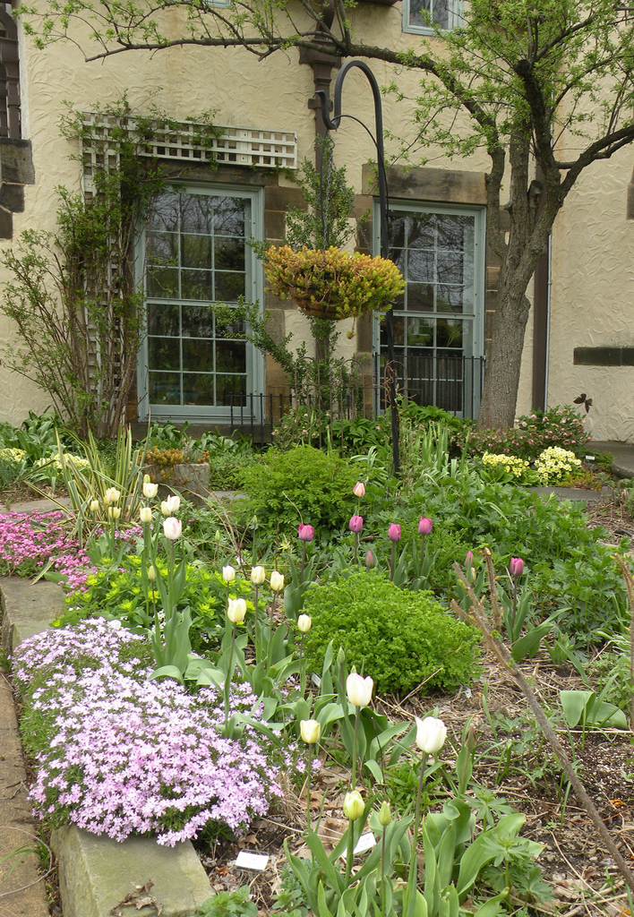 Bobbie Schwartz’s Garden Bobbie's Green Thumb