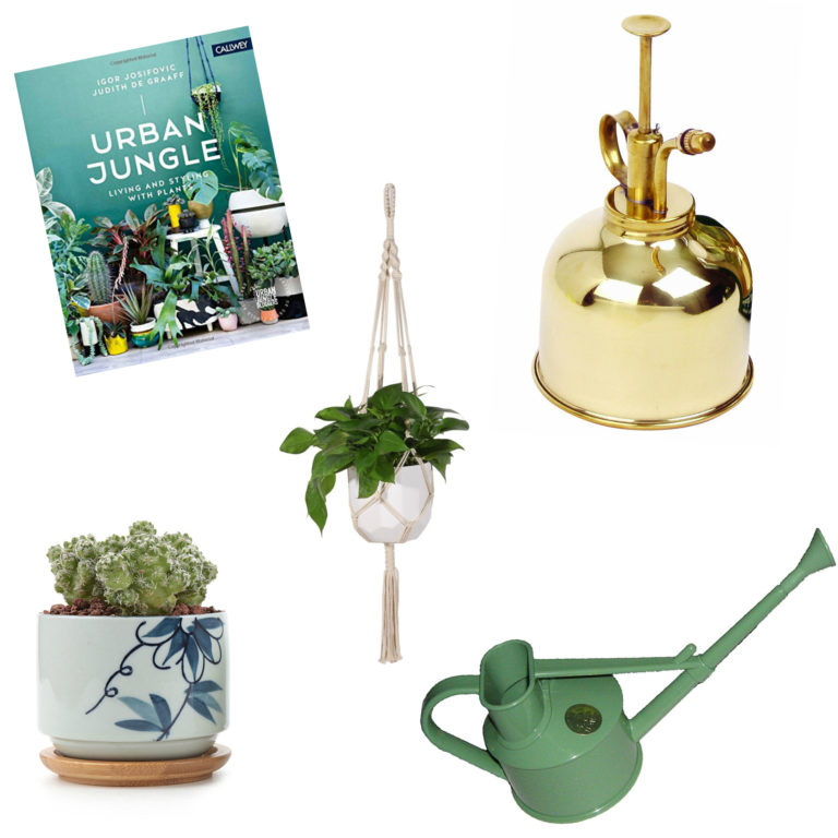 Gift Ideas For Plant Lovers Clever Bloom