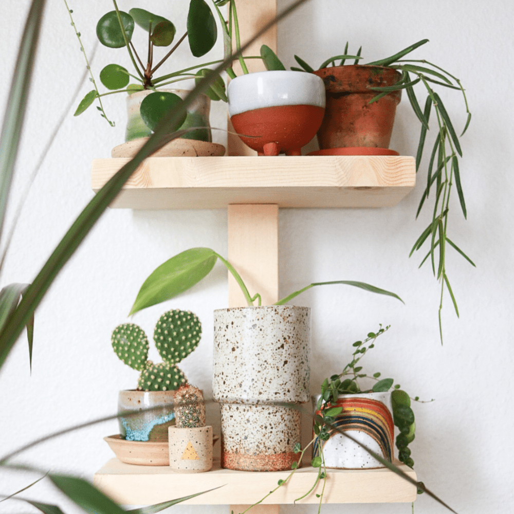 Easy Modern Plant Shelf DIY to Display Plants