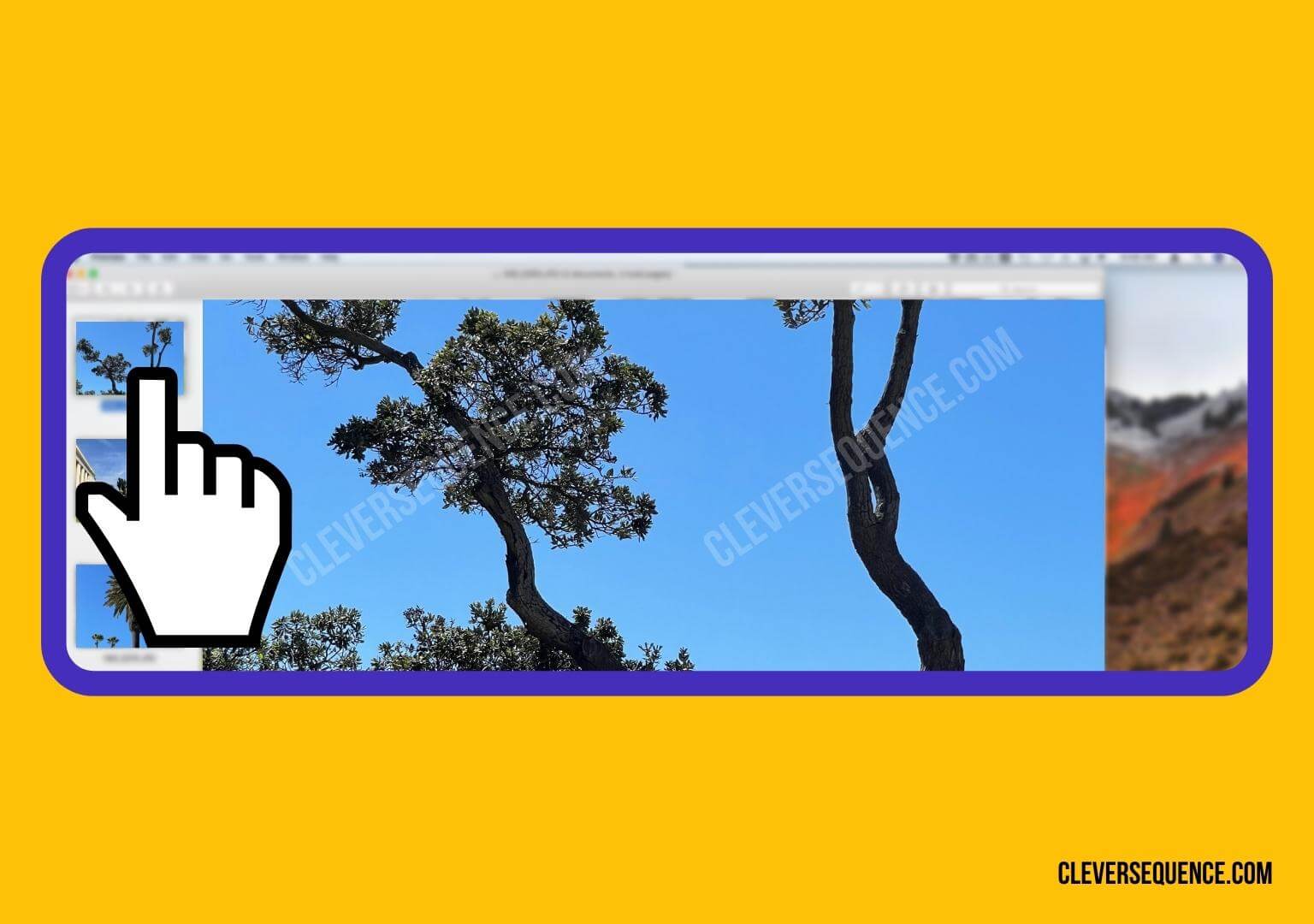 5 Ways to Make a Picture Collage in 2024