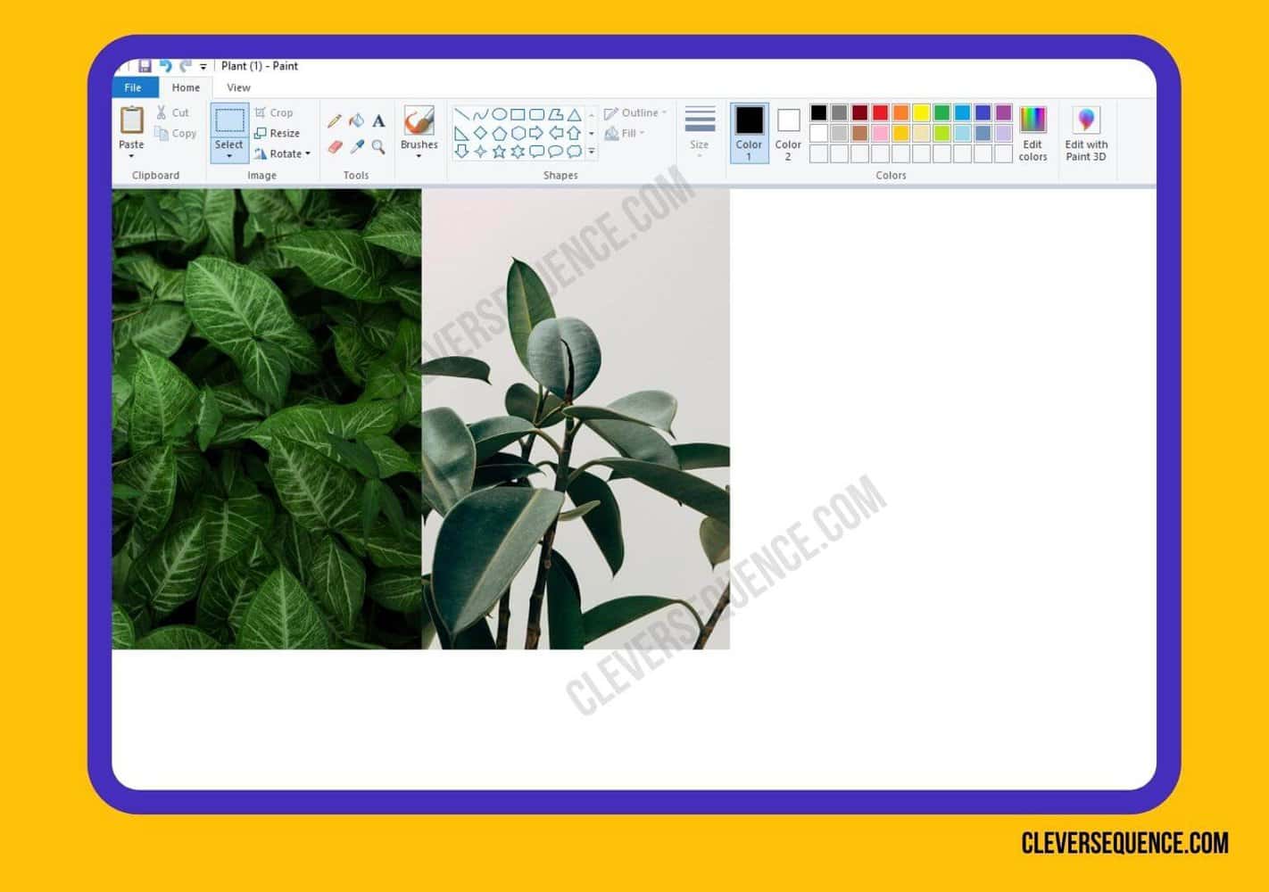 5 Ways to Make a Picture Collage in 2024