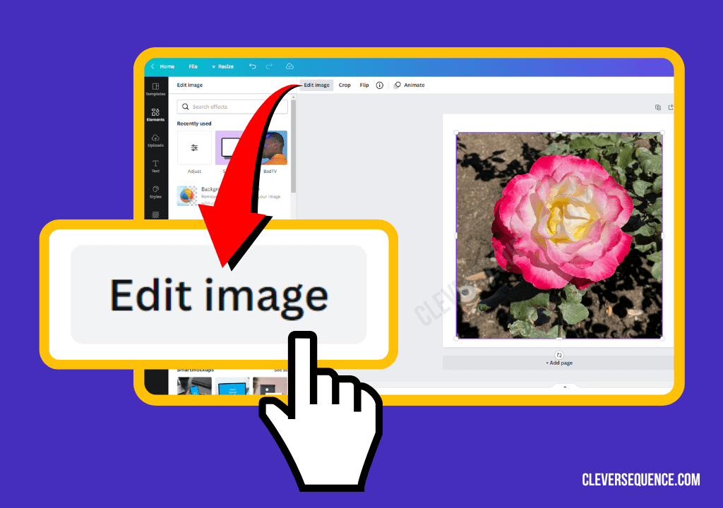 5 Free Ways to Cut the Background Out of a Picture in 2024