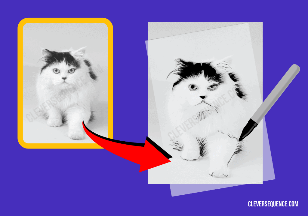 7 Ways to Make an Outline of a Picture (Step by Step)