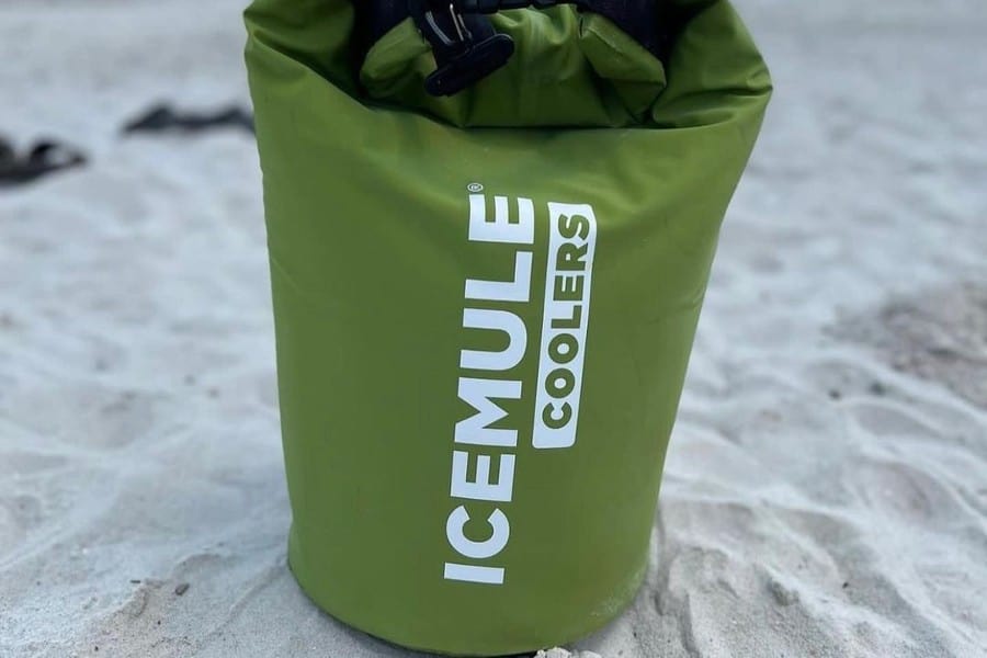 10 Best Backpack Cooler 2024 CleverWander