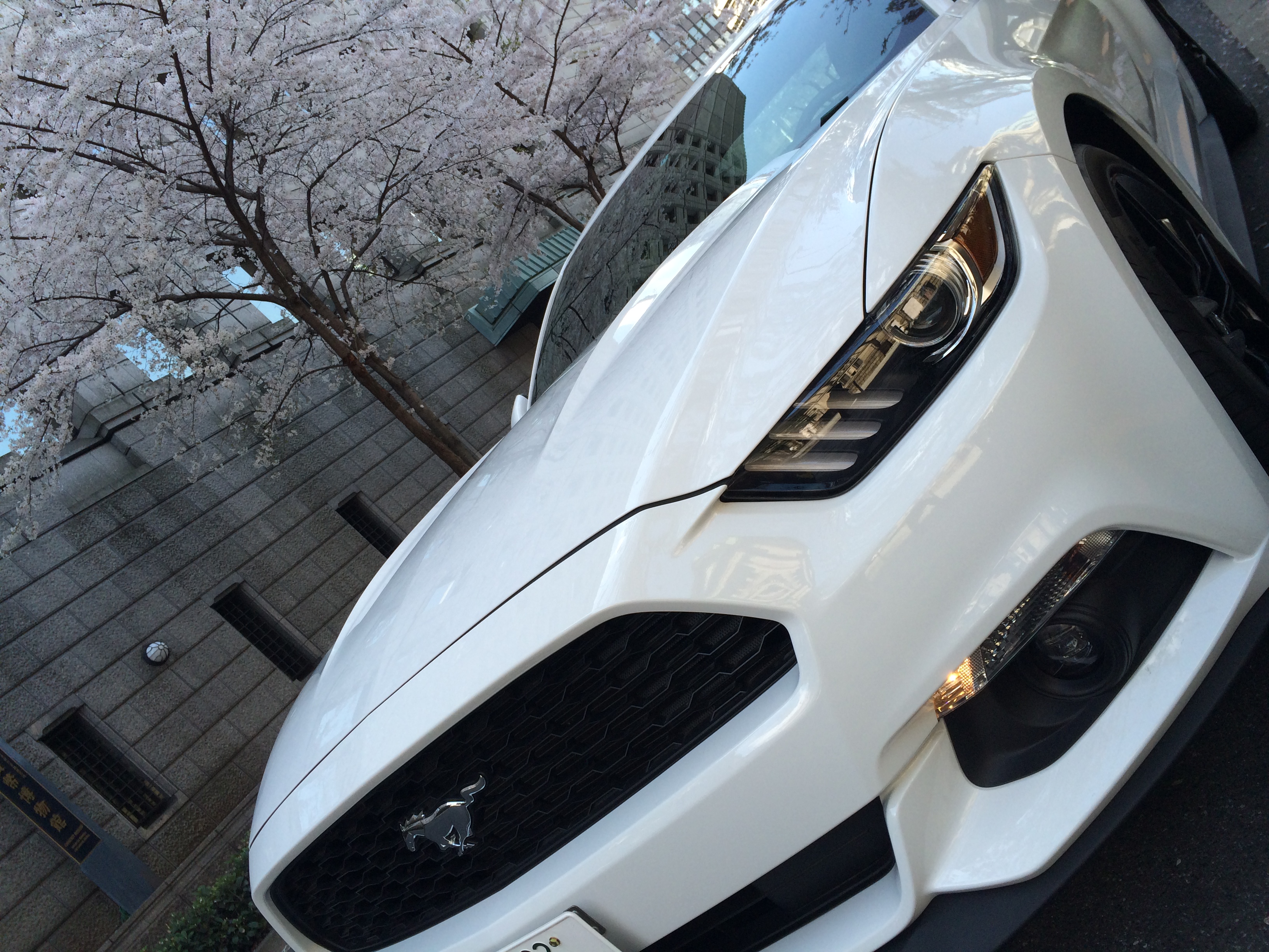 【ゆとり世代のチョイ乗り報告】限定に弱い人は新型「フォード・マスタング」に要注意!? ｜ 04