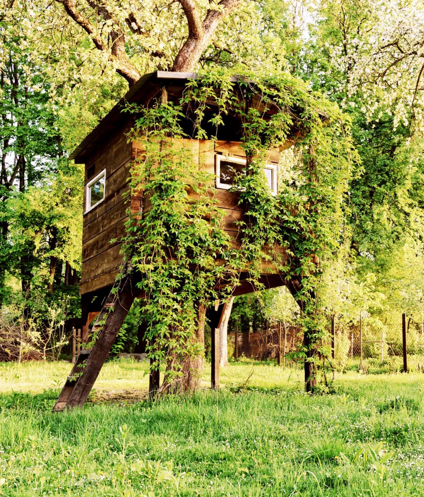Oldfashioned treehouses See 20 fun forts built up in the branches