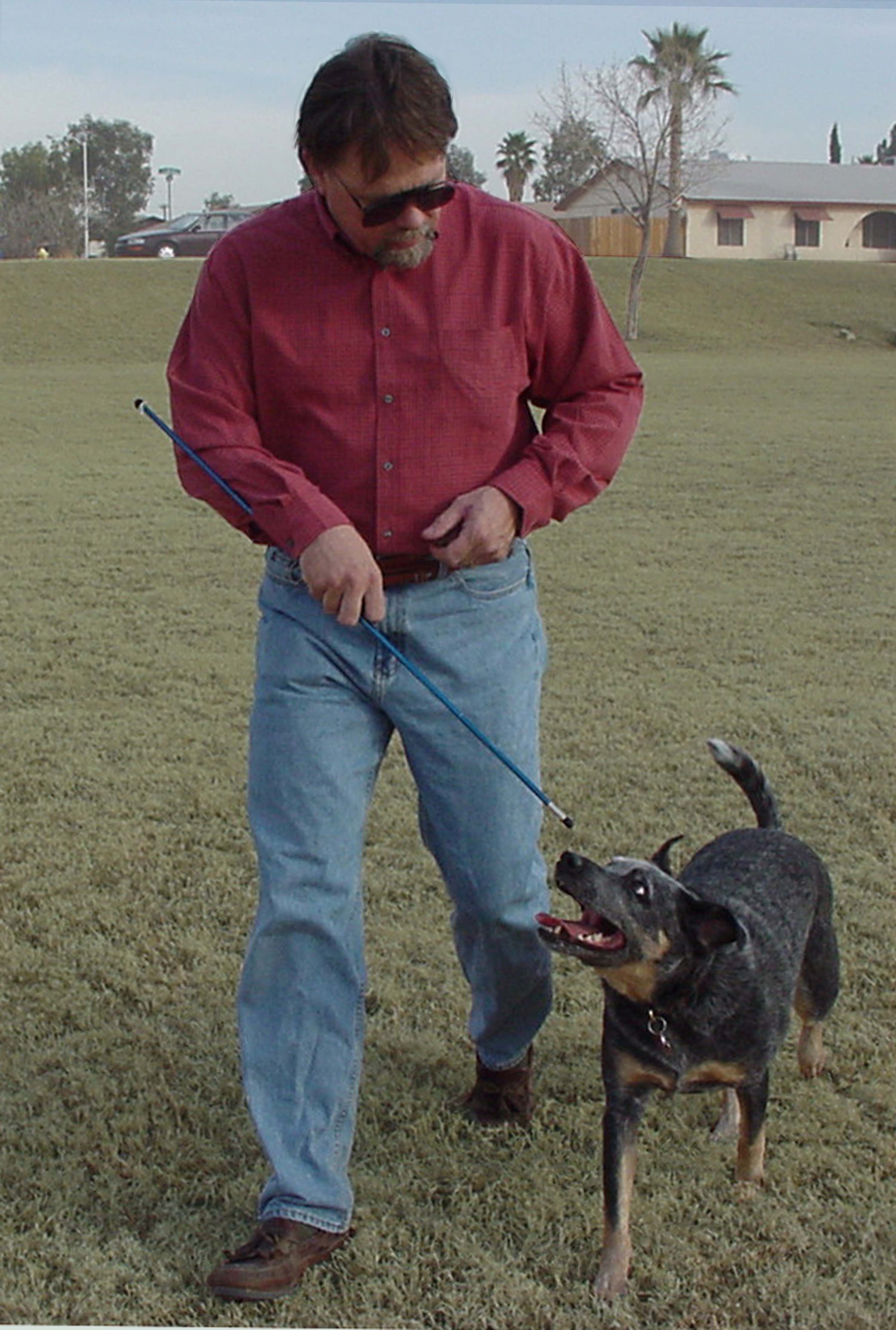 Prep for a Gary Wilkes Seminar…cont’d. Gary Wilkes' Real Clicker Training