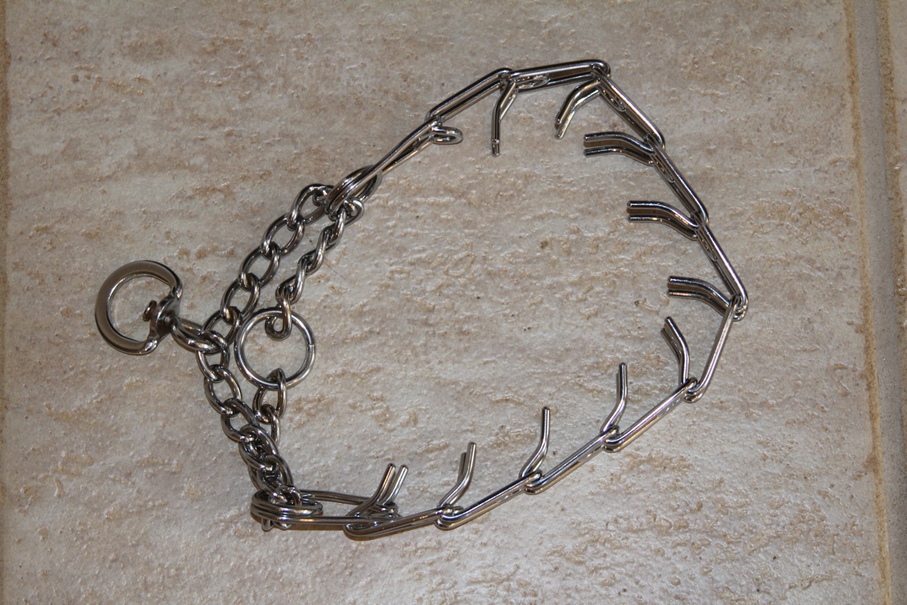 Dog collars the different types and how they can be dangerous