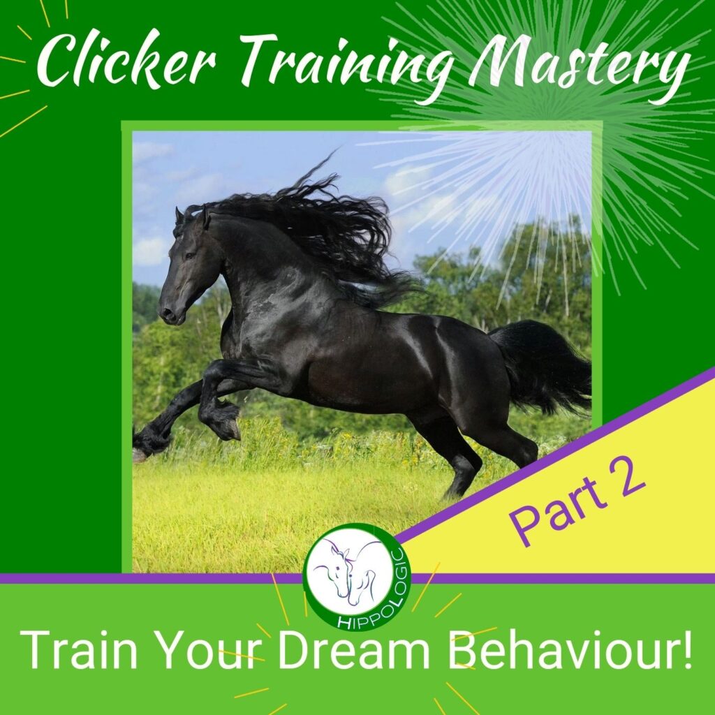Start using Targeting as a Training Tool HippoLogic Clicker Training