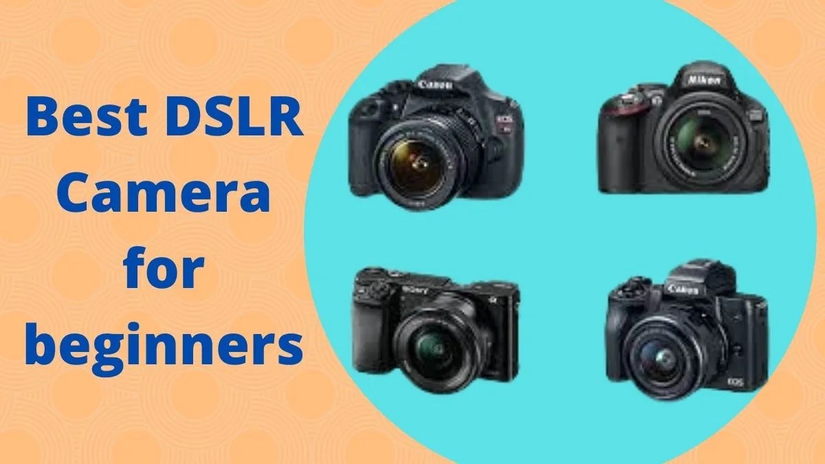 Best DSLR Camera for beginners Click Info Time
