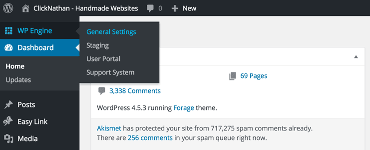How to Use the WP Engine Tab in Your WordPress Installation